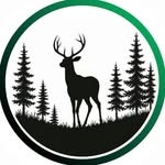 Restaurant Codru — logo